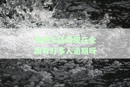 美团生活费逾期会被报全国失信名单么，美团生活费逾期是否会列入全国失信黑名单？