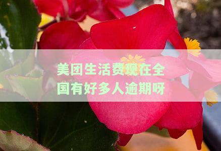 美团生活费逾期了说要立案是真的么，美团生活费逾期是否会被立案？真相调查