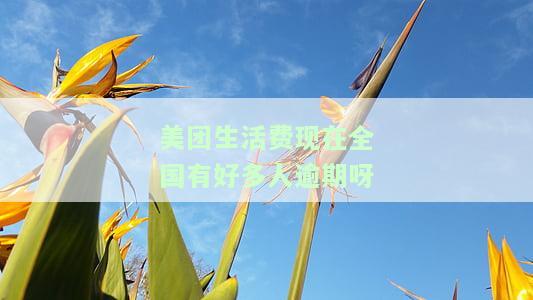 美团生活费现在全国有好多人逾期呀