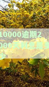 一万元逾期两年罚息多少？请提供具体金额计算方法