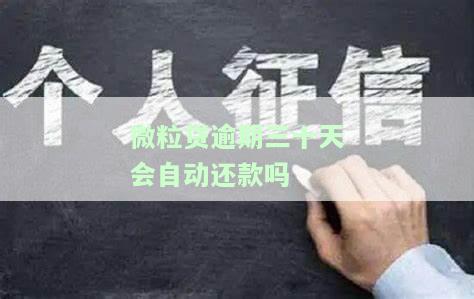 微粒贷逾期31天的后果及处理方式