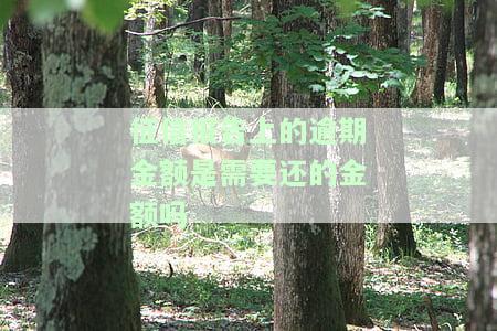 征信报告上的逾期金额是需要还的金额吗怎么看，如何理解征信报告上的逾期金额？是否需要还款？