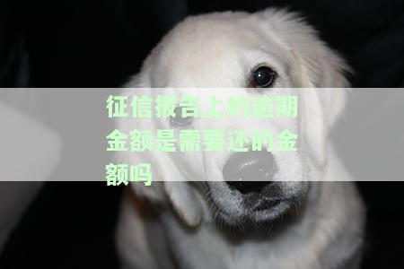 征信上逾期金额即实际还款额？真的吗？