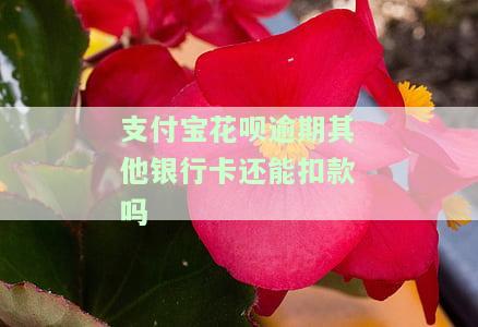 支付宝花呗逾期后是否会自动扣款？银行卡安全问题如何保障？