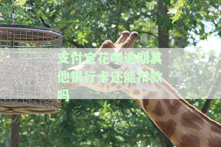 花呗逾期后，银行卡有钱会自动扣款吗？