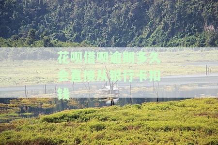 借呗花呗逾期多久上征信借呗逾期几天上征信，揭秘：借呗花呗逾期多久会上征信？逾期几天会有影响吗？