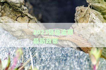 2023年征信逾期政策全解析：最新规定及影响
