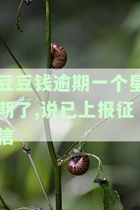豆豆钱逾期10天全还后，还能再贷吗？逾期3天无力偿还该怎么办？