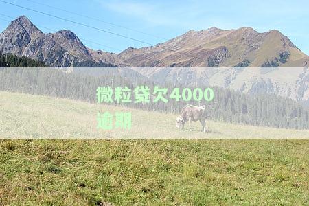 微粒贷逾期400多，警惕！微粒贷逾期400多，可能面临的后果是什么？