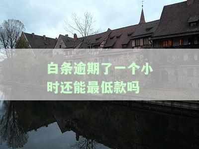 白条逾期了一个小时还能最低款吗-白条逾期一个小时上征信么