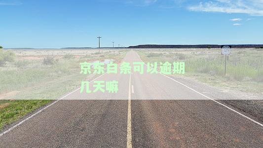 可以逾期几天嘛-可以逾期几天嘛