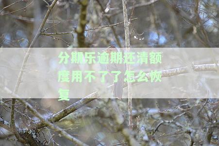 分期乐逾期后还款，能否继续使用？