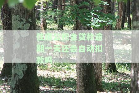 住房公积金贷款逾期一天会自动扣款吗？怎么办？