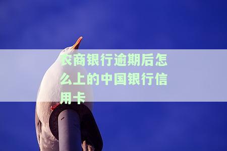 农商银行逾期未还款会先让第三方代偿吗？