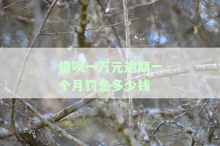 借呗一万元逾期一个月罚息多少钱-借呗一万元逾期一个月罚息多少钱啊