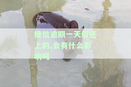 捷信逾期一天归还后多长时间征信消除记录，捷信逾期一天还款后，多久可以消除征信记录？