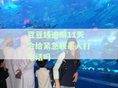 豆豆钱逾期11天会给紧急联系人打电话吗
