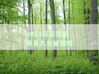 豆豆钱逾期2天6000多变成12000多了，豆豆钱逾期两天，借款6000元竟翻倍至12000多元！