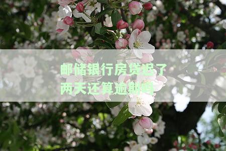 邮政房贷晚两天算逾期？影响及解决方法