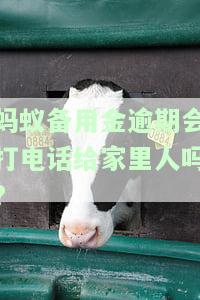 蚂蚁备用金逾期一天后还款，能否再次借款？安全性与影响如何？