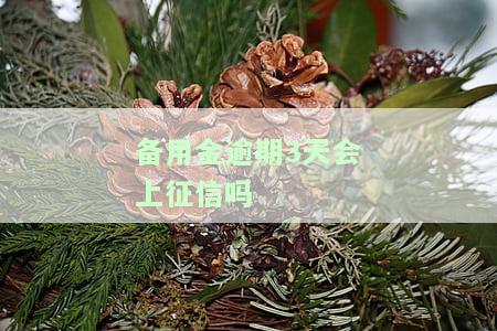 备用金逾期3天会否上征信？解决办法是什么？