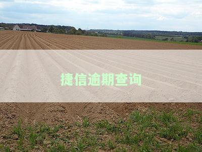 捷信逾期怎么可以看自己有没有上征信，如何查看捷信逾期是否已上征信？