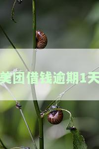 美团借钱逾期1天的后果严重吗？影响及解决办法全解析