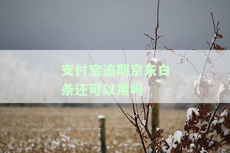 支付宝逾期还可以用吗知乎，支付宝逾期会影响的使用吗？知乎上有人解答了！