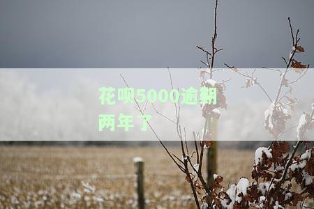 花呗逾期500块钱两年了才还,现在用不了了，花呗逾期两年才还款500元，如今却无法使用