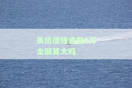 美团借钱逾期5万金额算大吗？这可能是你最关心的问题。在这篇文章中，我们将深入探讨这个问题，并为您提供专业的解答。