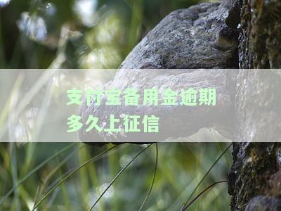 支付宝备用金、借呗逾期多久上征信？逾期后果严重，使用需谨！