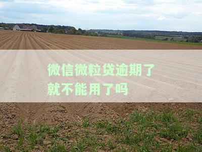 微信微粒贷逾期：10天未还，是否会关闭？
