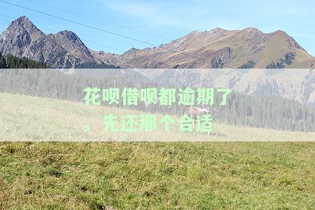 花呗、借呗逾期后还清多久可恢复使用资格？