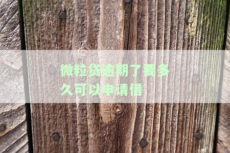 微粒贷逾期了要多久可以申请借-微粒贷逾期了要多久可以申请借钱