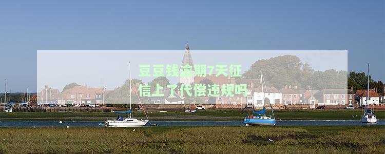 豆豆钱逾期7天征信上了代偿违规吗-豆豆钱逾期后还上逾期告诉可以加贷是咋回事