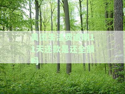美团生活费逾期10天右会上征信吗，美团生活费逾期10天是否会影响个人征信记录？