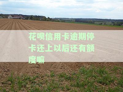 花呗逾期停止使用后还清款能恢复额度吗？