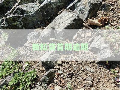 微粒贷首期逾期涉嫌诈骗怎么处理，如何处理微粒贷首期逾期被怀疑为诈骗的情况？