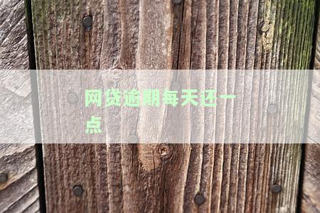 网贷逾期每天还一点可以吗，网贷逾期还款：每日偿还一点可行吗？