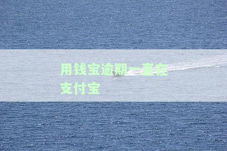 用钱宝逾期未还在支付宝，如何解决？