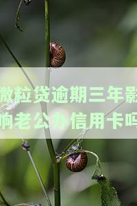 微粒贷逾期可能影响家人，如何避免？