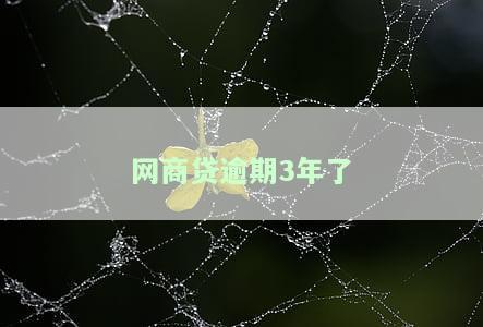 网商贷逾期3年没长了，网商贷逾期三年未增长，影响信用记录吗？