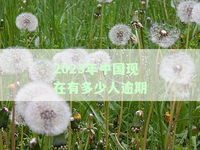 2023年中国现在有多少人逾期