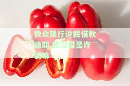 微众银行给我发信息说我恶意欠款,可是我没有借钱呀，微众银行声称我恶意欠款，但我并未借款