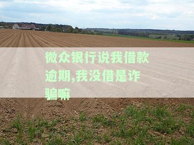 微众银行严重逾期发信息说恶意拖欠，我并未借款，如何处理？
