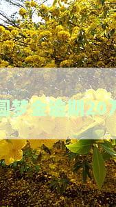 圆梦金逾期会产生滞纳金吗？能否协商只还本金？逾期多久会上征信？