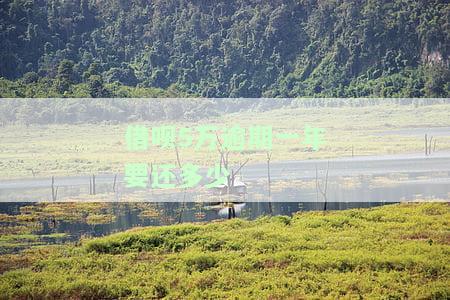 借呗逾期5万一年会被起诉吗？后果严重吗？