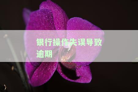 银行出错导致逾期，银行失误致逾期：你的权益该如何保障？