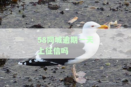 借款逾期多久会联系紧急联系人，逾期还款后，借款会何时联系紧急联系人？