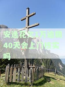 安逸花欠2万多逾期100天，真的会上门催收吗？